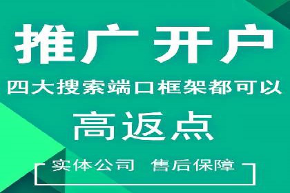 百度竞价价格策略，案例启示录