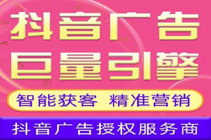 百度推广排名案例报告：某行业巨头如何运用其占领市场高地